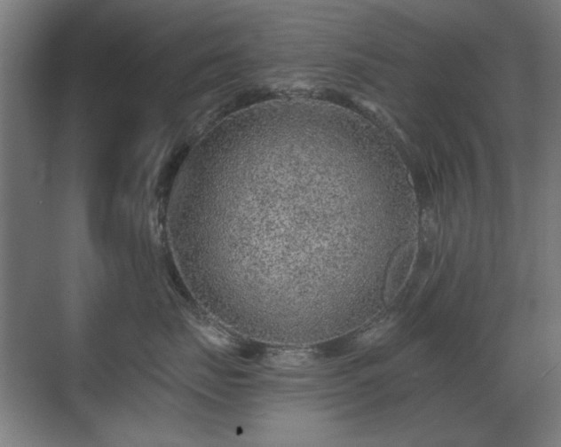 X0000071340671200606261317