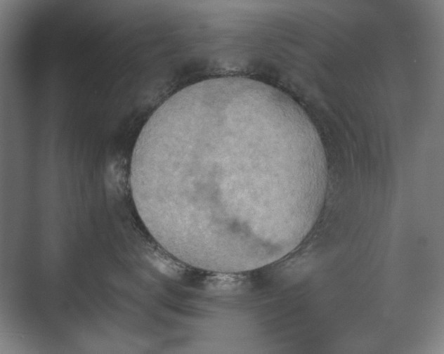 X0000071340672200606261317