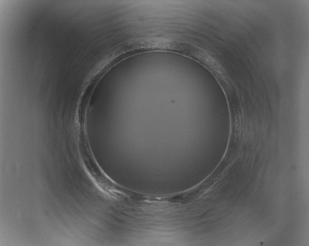 X0000071340674200606261316