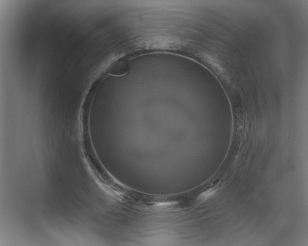 X0000071340678200606261316