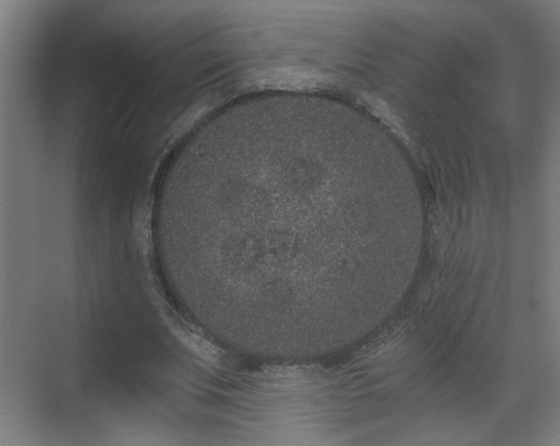 X0000071340679200606261316