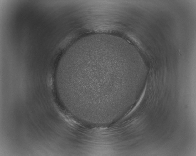 X0000071340687200606261316