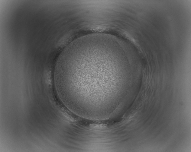 X0000071340689200606261316