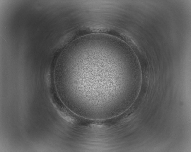 X0000071340690200606261316