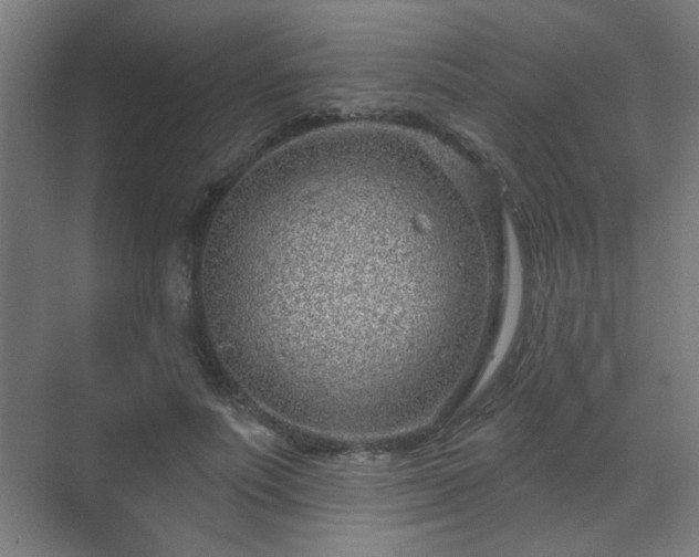 X0000071340691200606261316