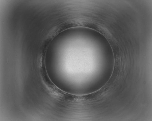 X0000071340694200606261316