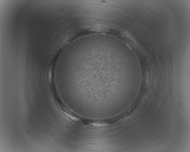 X0000071340696200606261316