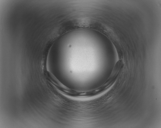 X0000071340697200606261316