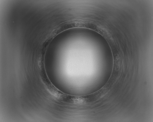 X0000071340698200606261316