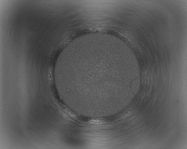 X0000071340699200606261316