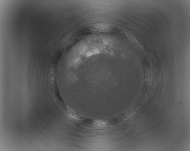 X0000071340701200606261316