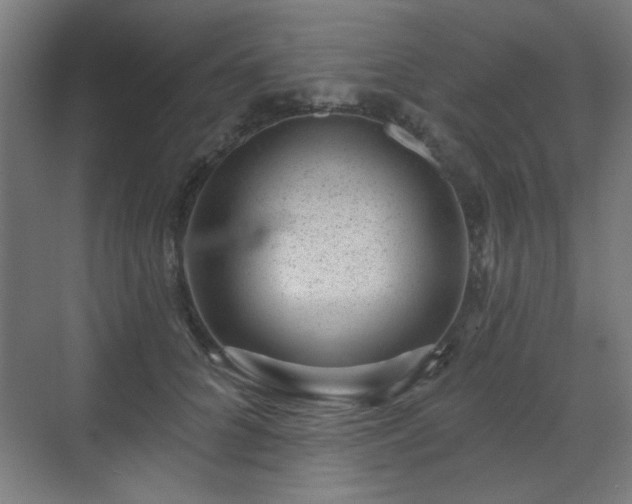 X0000071340704200606261316