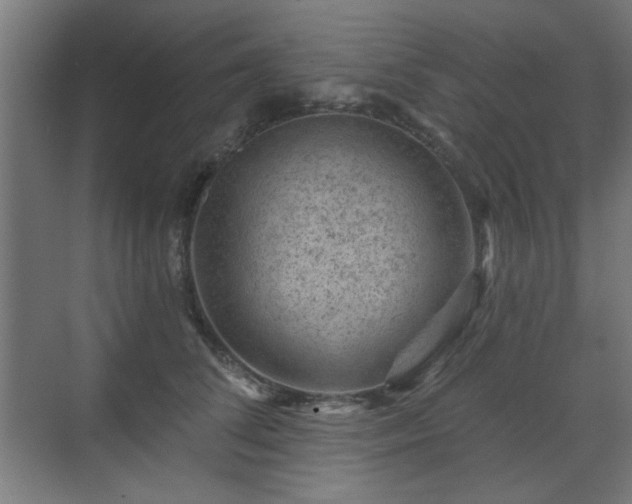 X0000071340708200606261316