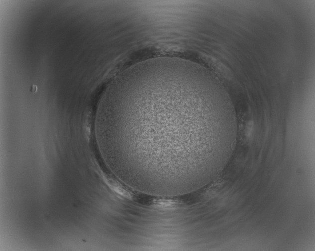 X0000071340710200606261316