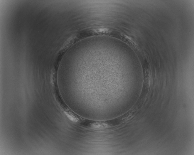 X0000071340712200606261316