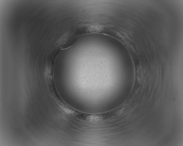 X0000071340714200606261316