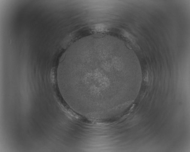 X0000071340715200606261316