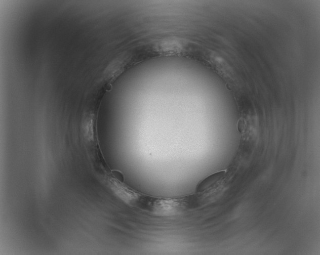 X0000071340717200606261315