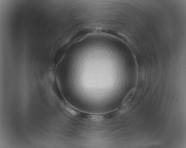 X0000071340719200606261315