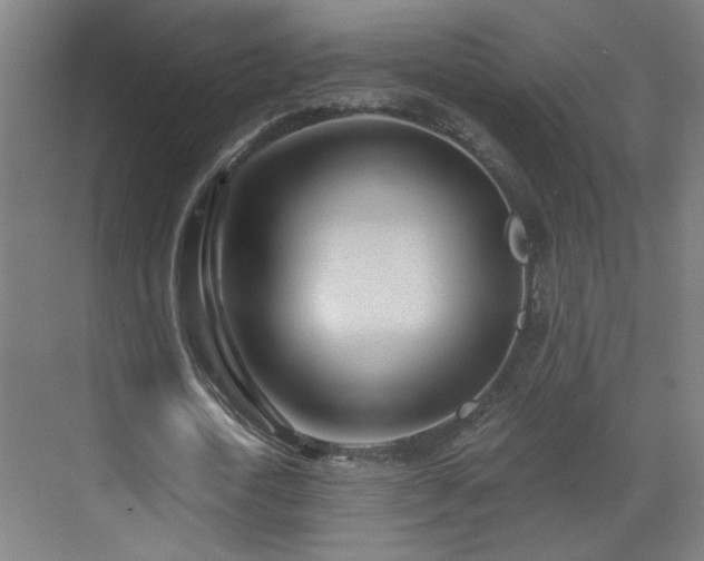 X0000071340722200606261315