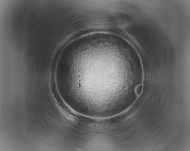 X0000071340725200606261315