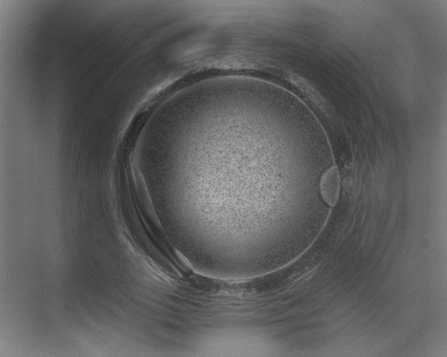 X0000071340727200606261315