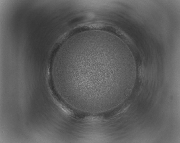 X0000071340733200606261315