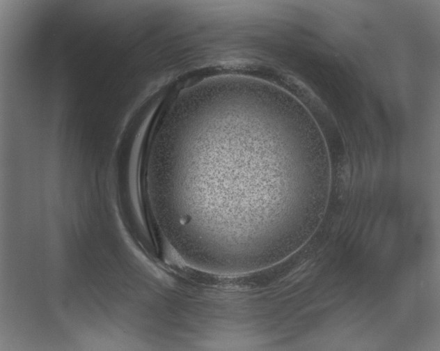 X0000071340734200606261315