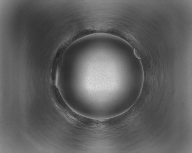 X0000071340735200606261315