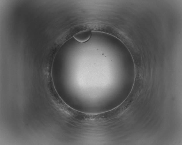 X0000071340737200606261315