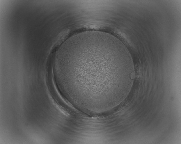 X0000071340738200606261315