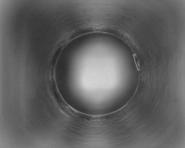 X0000071340740200606261315