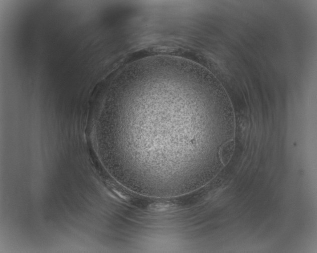 X0000071340745200606261315