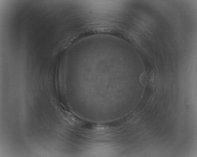 X0000071340746200606261315