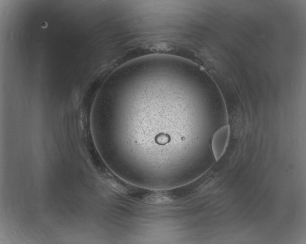 X0000071340747200606261315