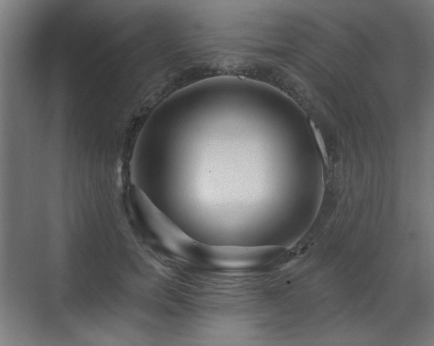 X0000071340750200606261315