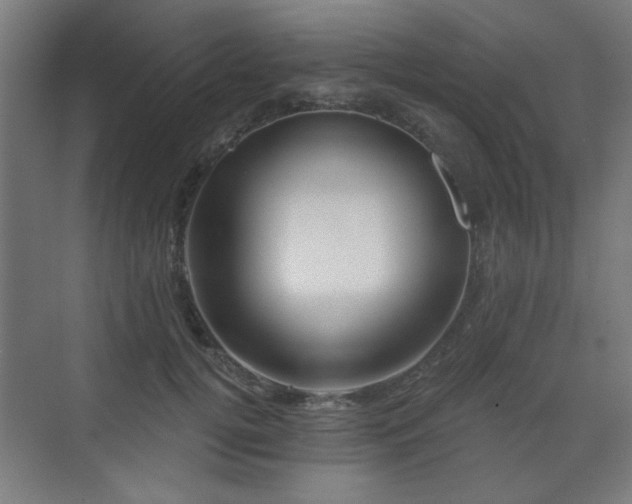 X0000071340752200606261315