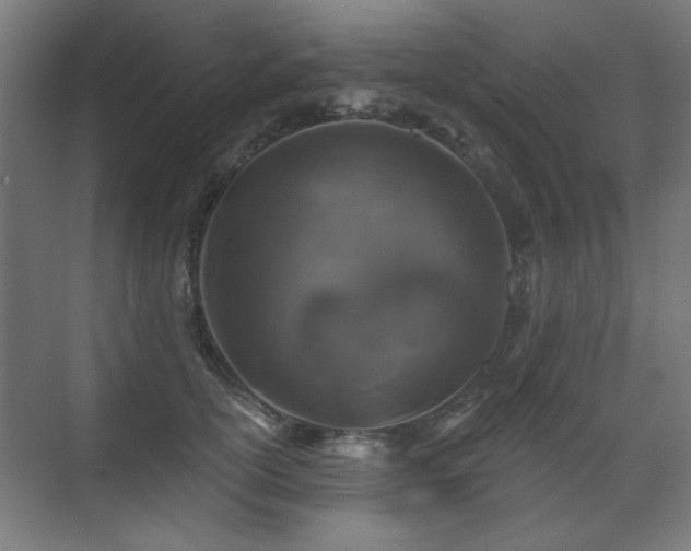 X0000071340754200606261315