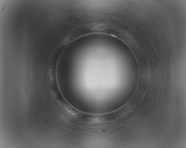 X0000071340755200606261315