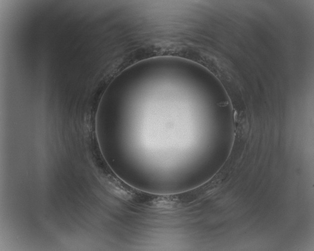 X0000071340756200606261315