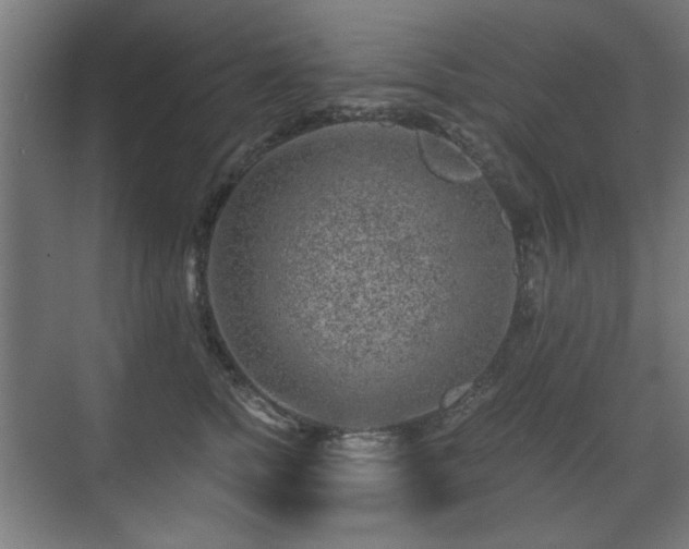 X0000071340758200606261315