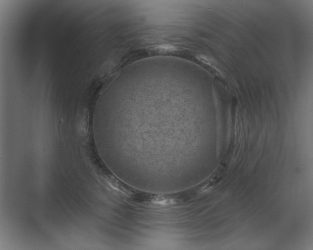 X0000071340760200606261315