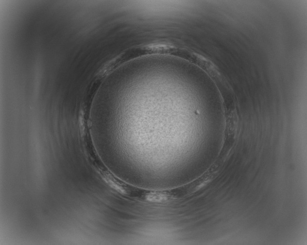 X0000071340762200606261315