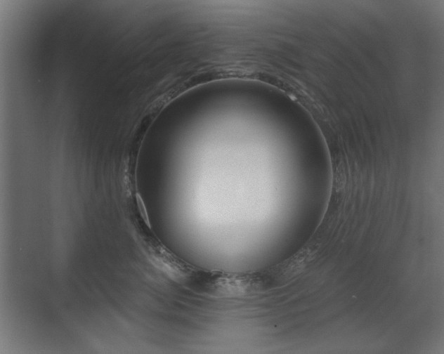 X0000071340764200606261315