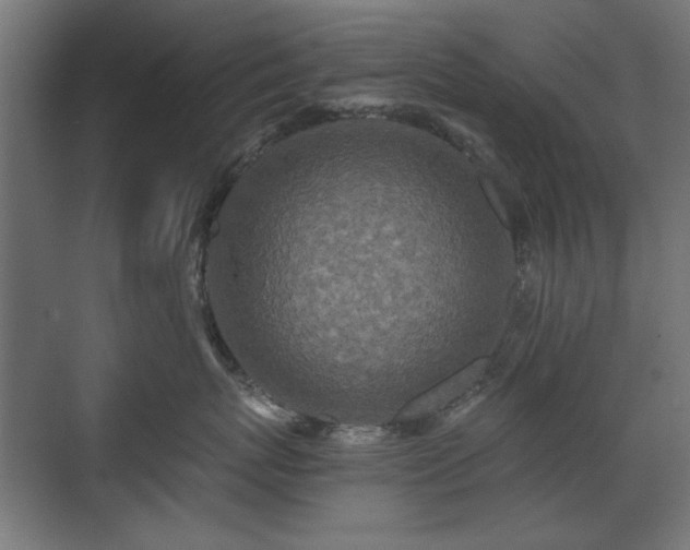 X0000071340767200606261315