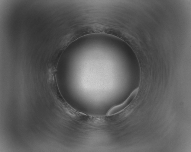 X0000071340768200606261315