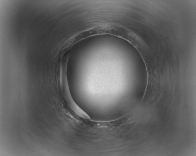 X0000071340773200606261315