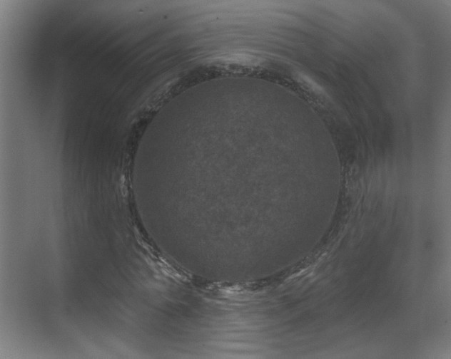 X0000071340774200606261315