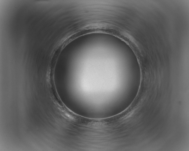 X0000071340778200606261314