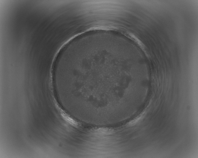 X0000071340779200606261314